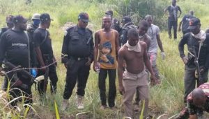 IMG-20210511-WA0011-768x576-1 (1)