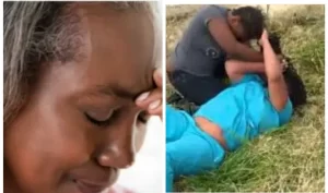 49d97d612d8b23cd41eac9f82f0e0ed9