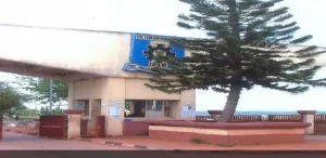 ce4a89003b13fcfff19657cad269a6f0