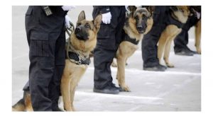 Screenshot_2022-03-26-15-42-37-86