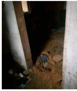 FB_IMG_1659164986618