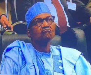 FB_IMG_1659201742690