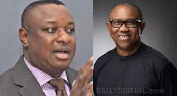 Place Peter Obi and supporters on watchlist” – Keyamo tells security agencies