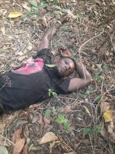 FB_IMG_1674682395785