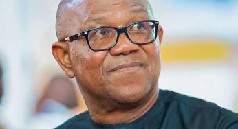 Stop demarketing Nigeria – PDP Chieftain tells Peter Obi