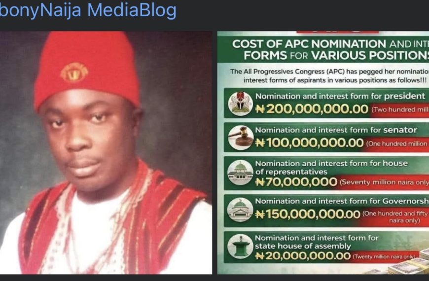 George Alli Raises Alarm Over ₦20 Million Nomination Fee for Benue Assembly Seat