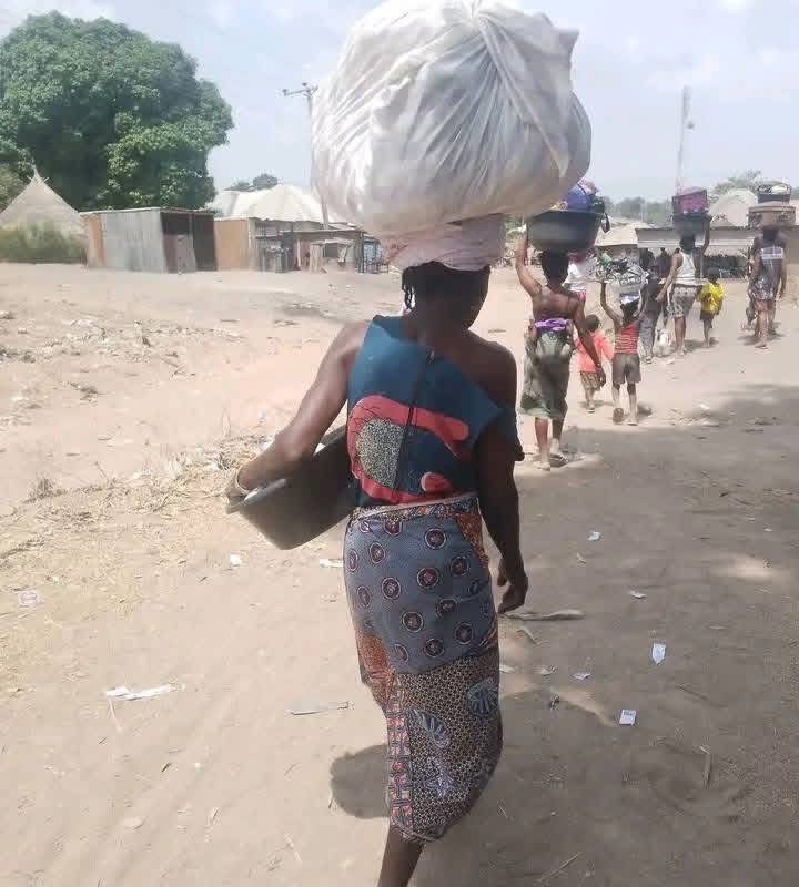 FACT CHECK : FARMING IS NO MORE POSSIBLE IN BENUE COMMUNITIES BECAUSE OF INSECURITY ?