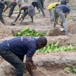 FACT CHECK: Were Several Residents Killed in Ankpali-Edikwu, Apa LGA of Benue State in April 2026 By Suspected Fulani Herdsmen ?